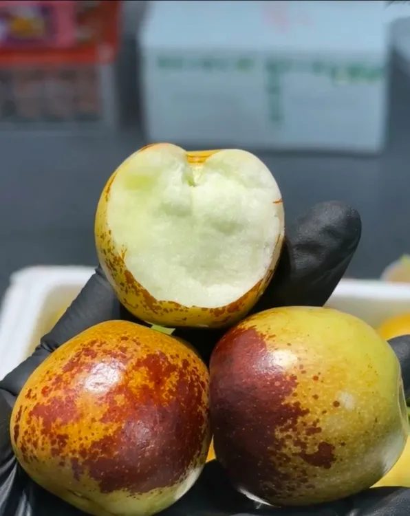 【顺丰包邮】现摘陕西大荔冬枣精品中大果皮薄香甜