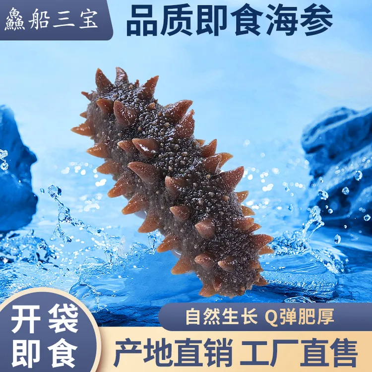 【渔三宝】烟台发货 6斤装即食海参  15-18头 速冻发货顺丰到家