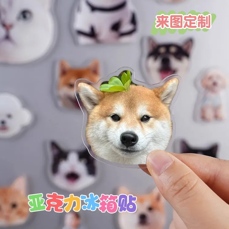 猫咪小狗宠物磁吸冰箱贴定制可爱diy照片人物订做文创