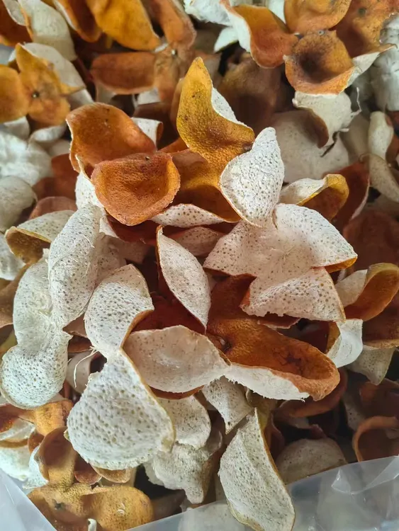 广西浦北陈皮  2024年精品大红皮天然生晒