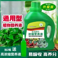 【通用型营养液】浓缩快速生根盆栽园艺生长喷施黄叶植物绿植营养液