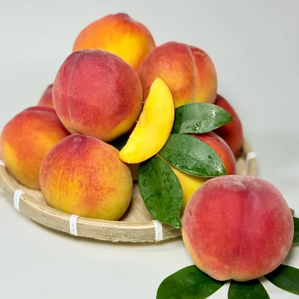 湖北彩虹黄桃应季桃子3/5斤多汁应季现摘新鲜水果