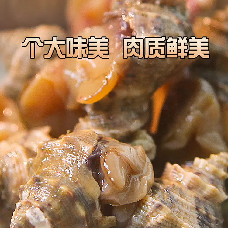 温州特产野生醉辣螺深海590克1罐开罐即食肉质饱满下饭神器
