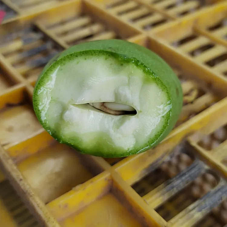 3斤酸芒果酸酸脆芒果青芒果四季芒果生吃芒果田东桂七芒果