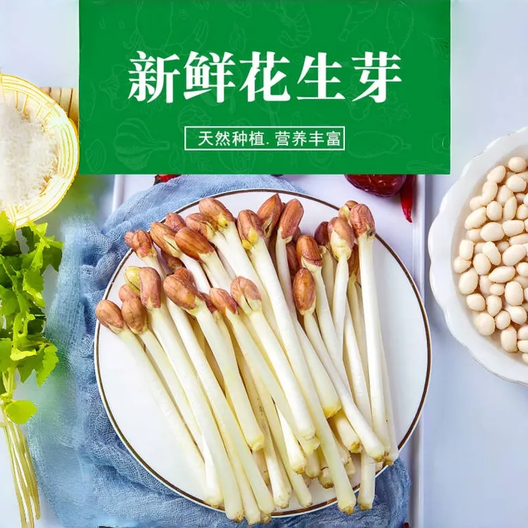 【新客福利价】冷链发货有机新鲜蔬菜现摘花生芽沙拉饭店商用特色菜