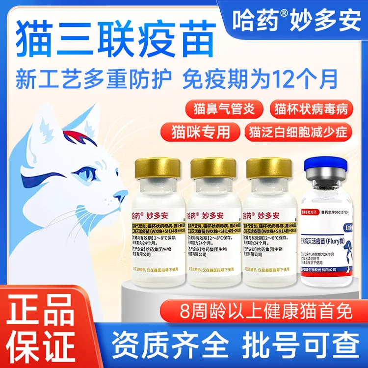 【医院同款】妙多安猫咪疫苗猫三联预防猫瘟狂犬猫鼻支兽用非处方药