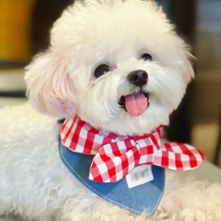 狗狗口水巾宠物围脖三角巾泰迪比熊博美小型犬猫咪饰品可爱装饰