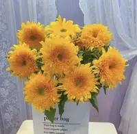 【泰迪向日葵】油画毛绒感太阳花向日葵·梵高鲜花云南A级品顺丰冷链