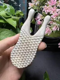 板娘专享 鹿角按摩 微瑕福利 随机发货 不退不换 -X265