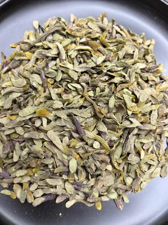 铁皮石斛铁皮石斛切片