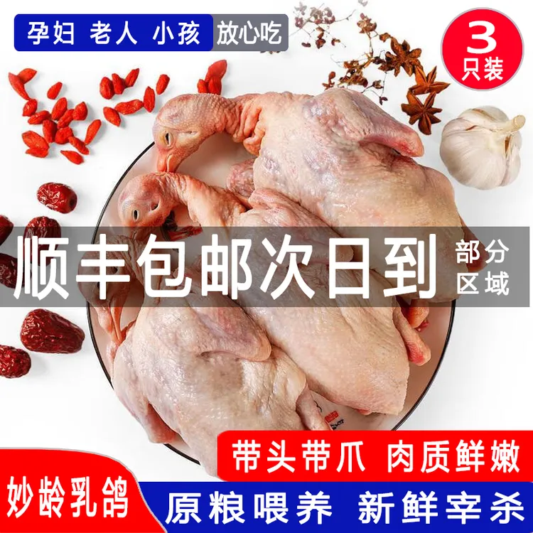 正宗中山石岐妙龄乳鸽土坏单包赔新鲜现宰精品鸽子现杀顺丰包邮
