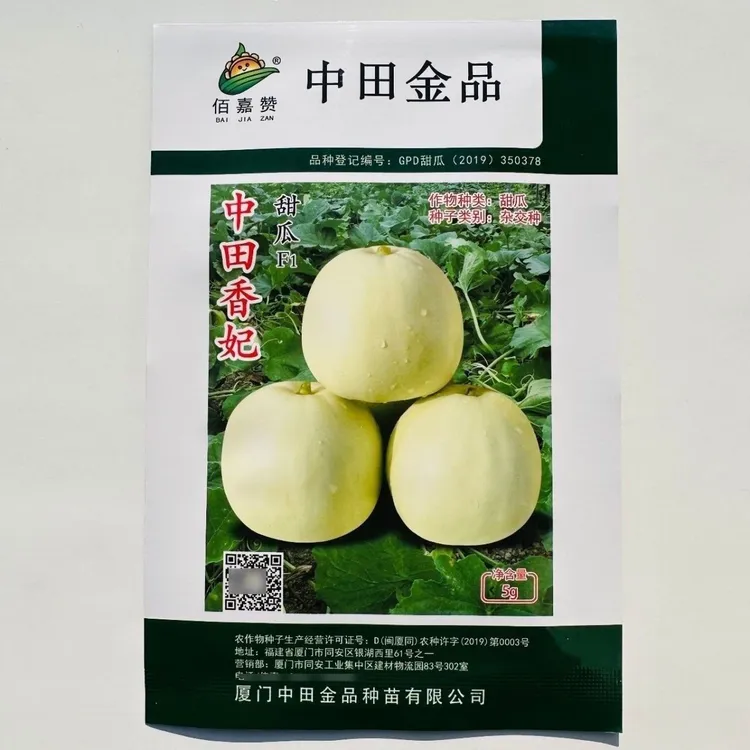 正品原装中田香妃甜瓜种子薄皮甜瓜种子水果香瓜种子甜度高耐湿热