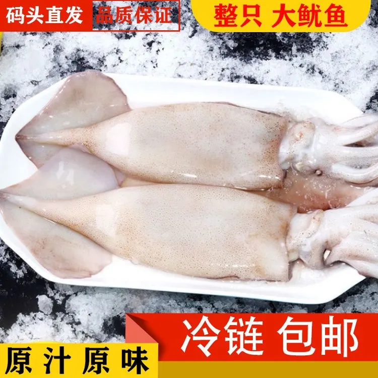 【5斤大鱿鱼】新鲜大鱿鱼整条鱿鱼未处理大鱿鱼整只冷冻水产3/5斤装