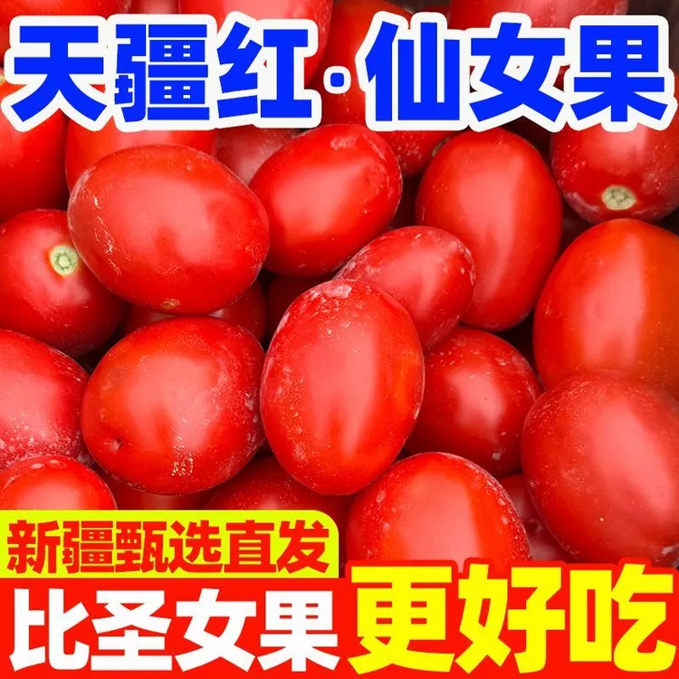 【新疆京东直发】天疆红仙女果现摘番茄圣女果西红柿孕妇网红水果