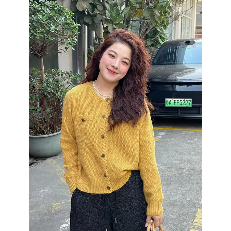 WenWen小个子2025秋冬新款圆领麻花韩版时尚针织开衫毛衣4710