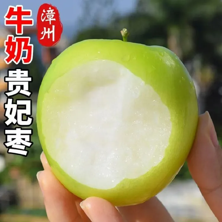 福建贵妃牛奶枣贵妃枣非一般大青枣新鲜应季水果产地直发