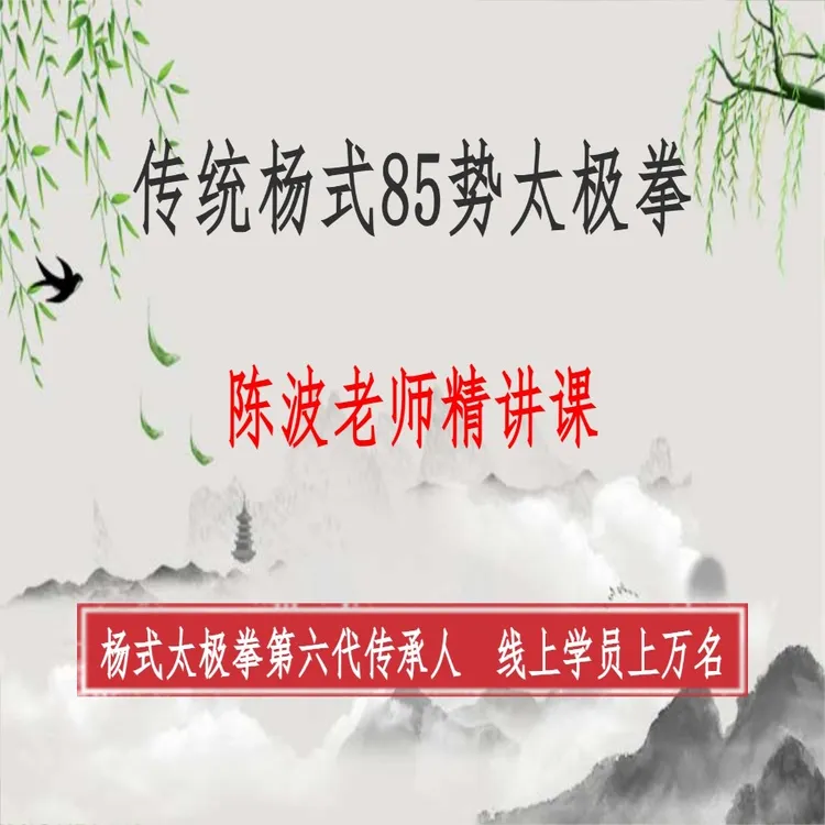 陈波老师—线上传统杨式85势太极拳精讲课