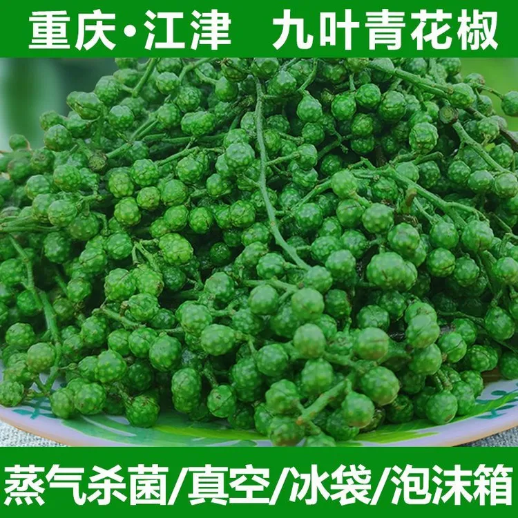 正宗青麻椒保鲜九叶青花椒重庆江津特产火锅藤椒真空麻辣生鲜花椒