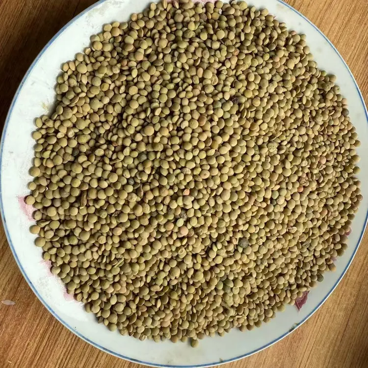 【甘味转弟】 会宁旱地小扁豆