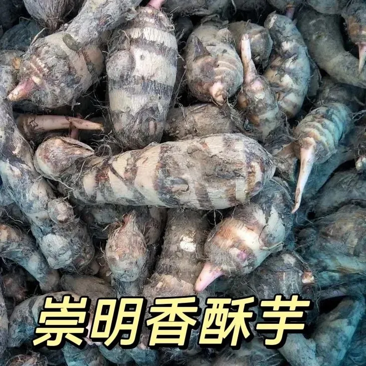 香酥芋艿 红芽芋头上海崇明农家自种新鲜香芋软糯易煮现挖发顺丰