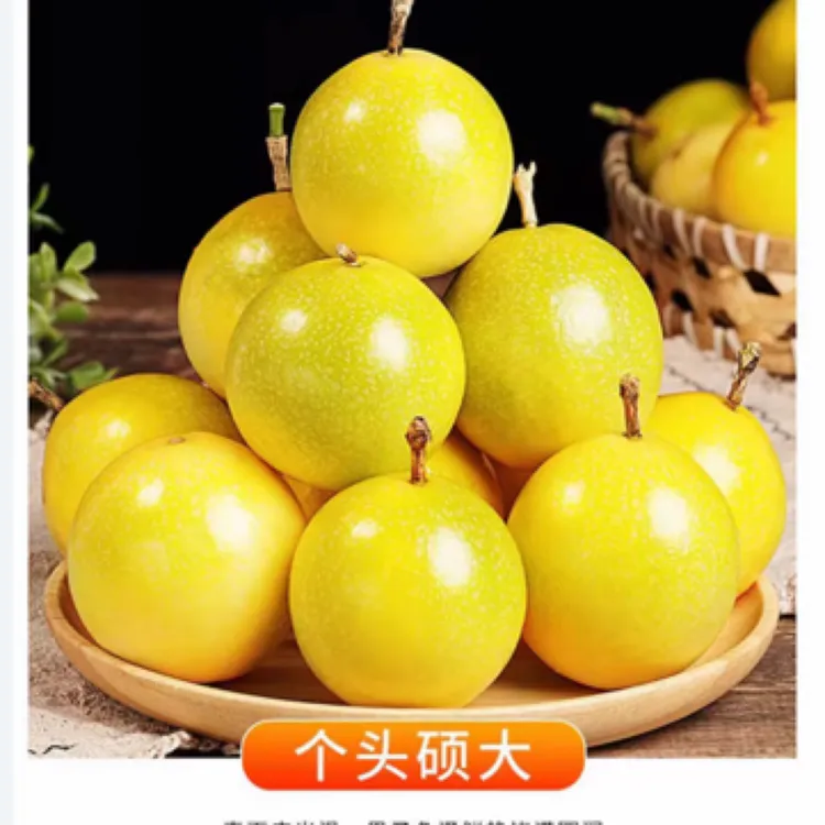 广西正宗钦蜜9号百香果新鲜当季水果现摘现发