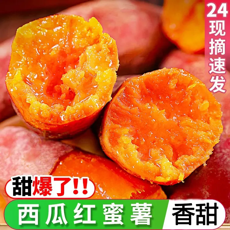 【韦博薯业源头基地】正宗沙地西瓜红蜜薯香甜新鲜红薯红心番薯
