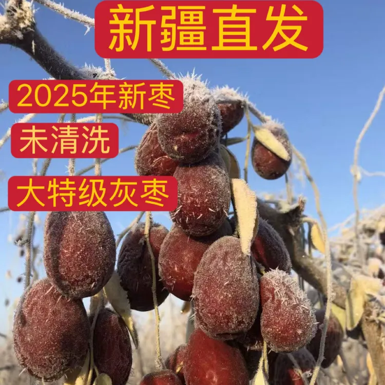 【新疆库尔勒直发】【大特级】2025年自然吊干灰枣未清洗核小皮薄枣香