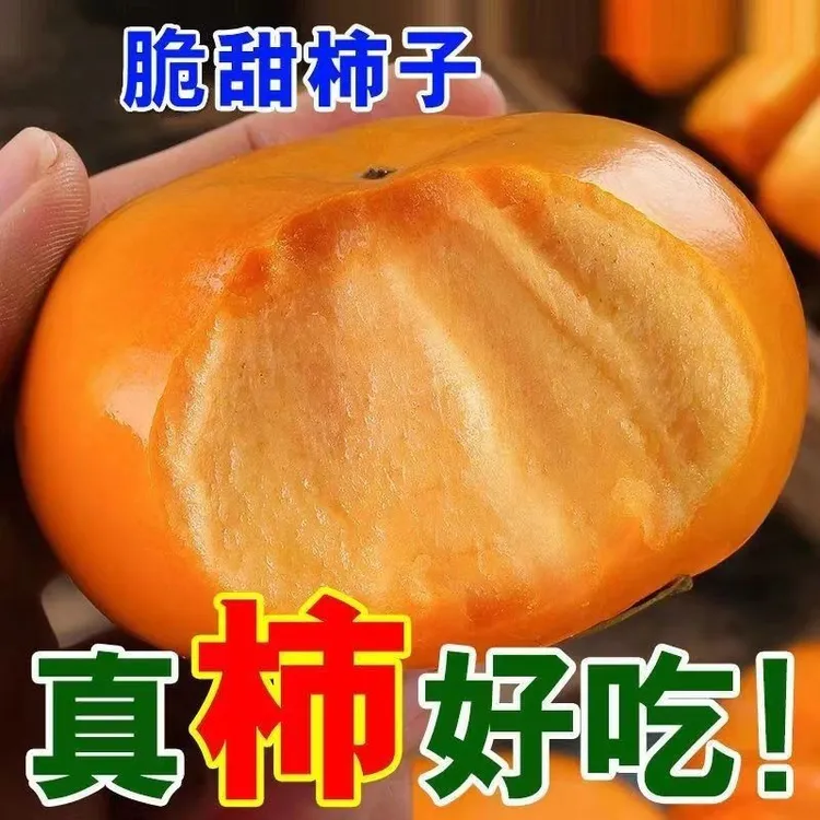 云南高原甜脆柿子 新鲜现摘 脆甜爽口 不涩无籽 软硬两吃