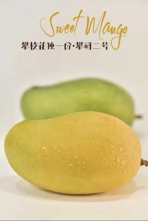 攀研二号（带箱重10斤）