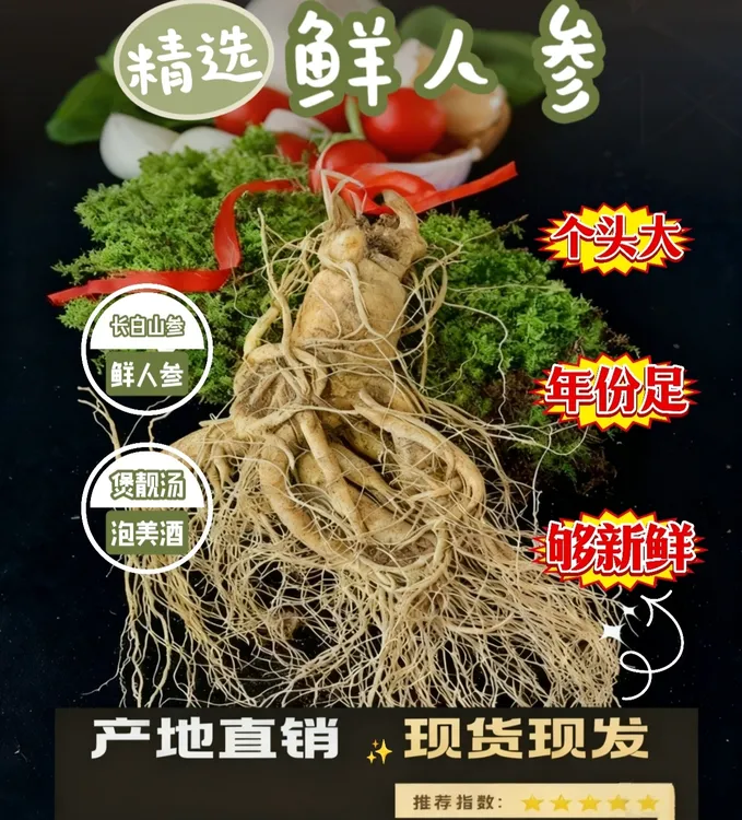 东北特产鲜人参长白山产地直销新鲜带土人参批发价直发泡酒专用参