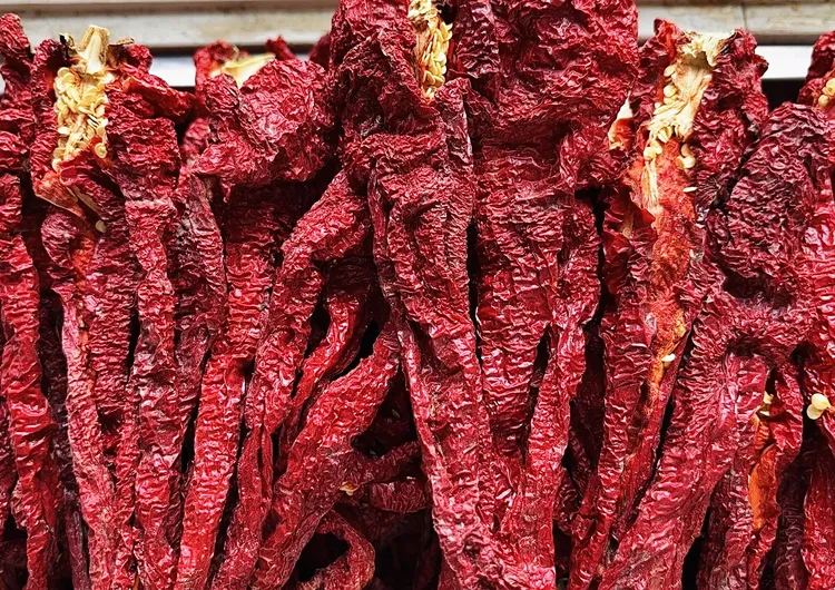 (甜粥自卖）25年新货（精品）新疆本地厚肉辣皮子农民自然晾晒、不辣