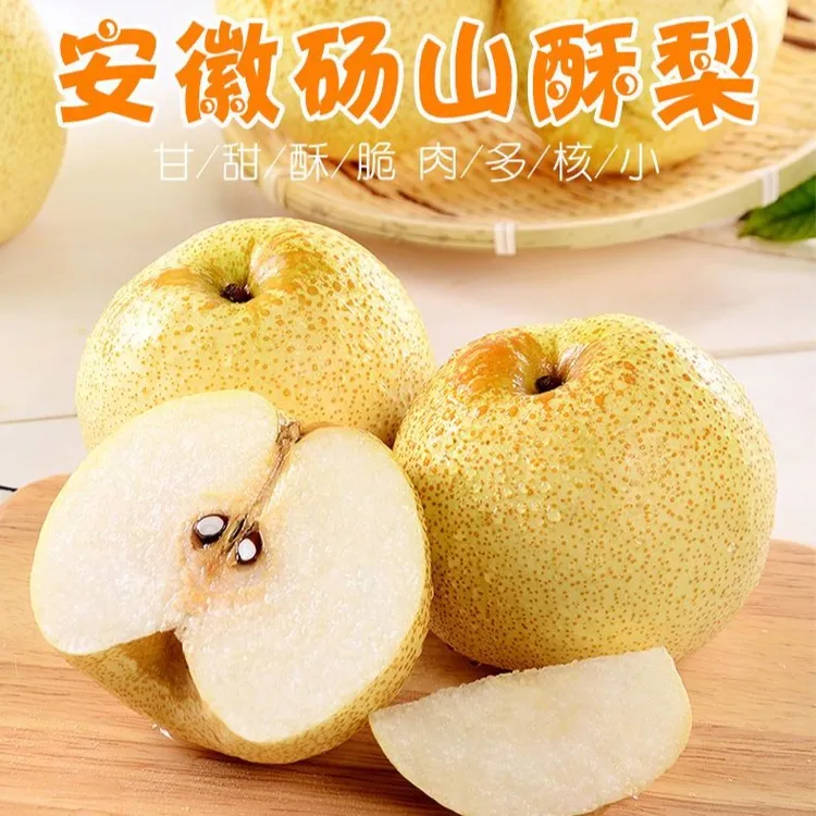 正宗砀山酥梨现摘现发脆甜爆汁皮薄多汁新鲜水果砀山梨