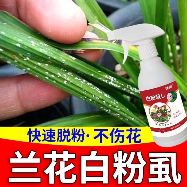 兰花白粉病专用营养液除菌剂兰草防白粉虱黑斑病黄叶病焦尖干尖