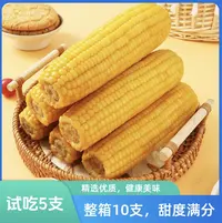  【试吃5根】到手10根 2025年东北头茬黄糯玉米整箱5-6斤 粗粮代餐