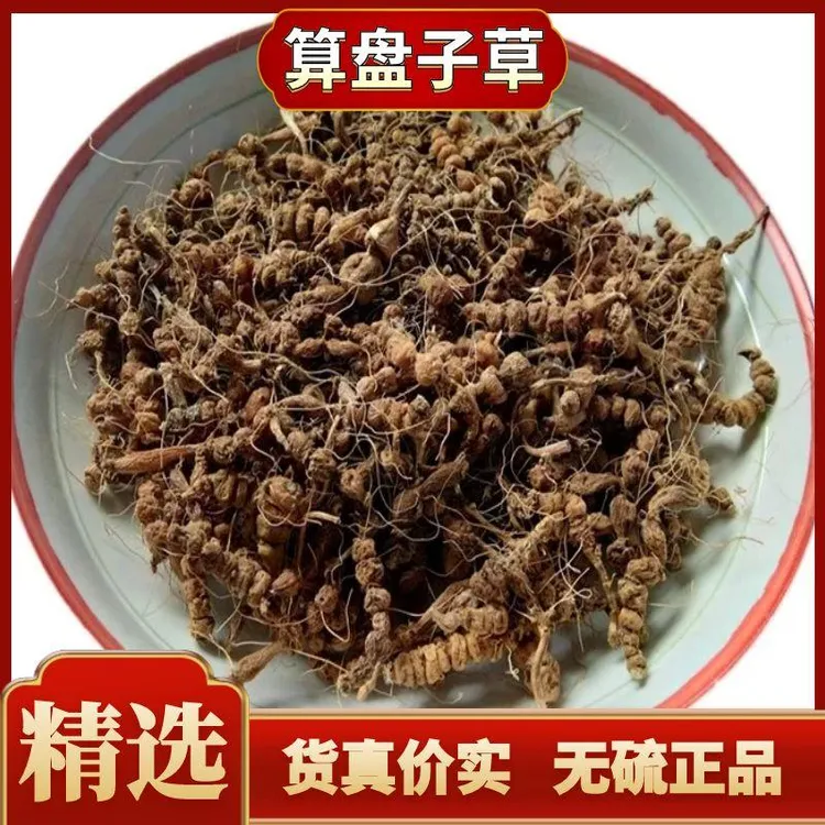 正宗算盘草无硫干货算盘子草包邮九子连环草珠子七珍珠草非天门冬