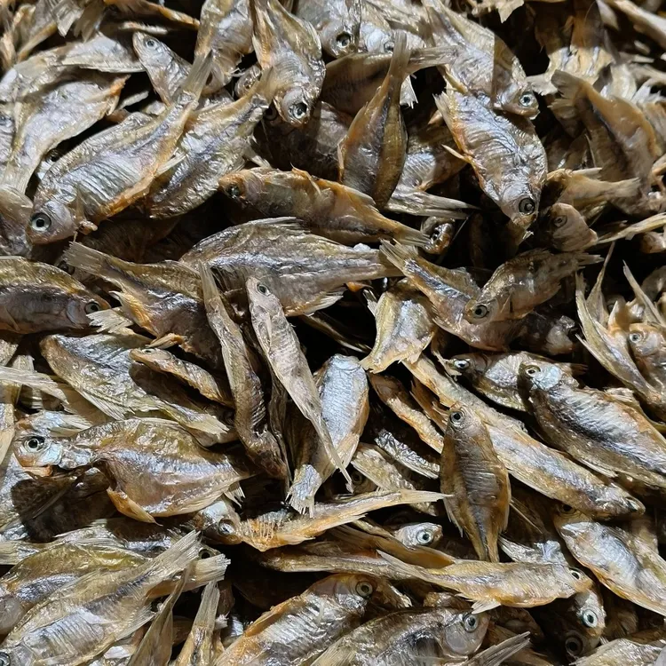 安徽农家特产纯野生手工腌制鳑鲏风干鱼