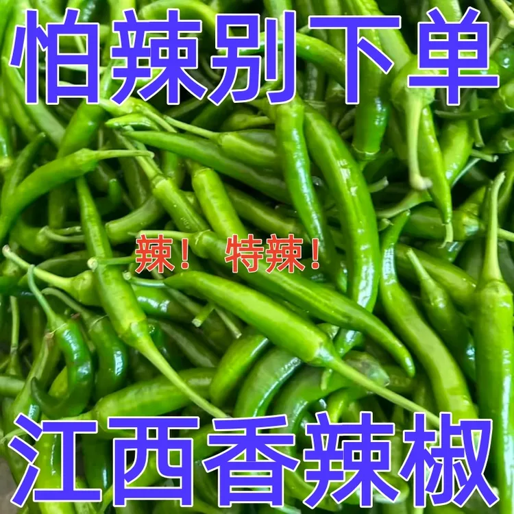 正宗江西高安上湖辣椒新鲜青辣椒红辣椒特价辣椒土辣椒尖椒虎皮椒
