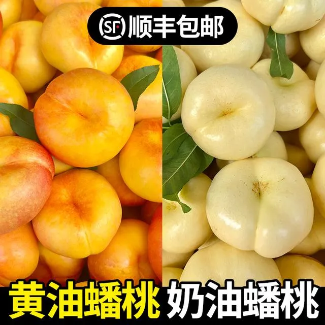 【顺丰丶速递】蒙阴彩虹油蟠桃+奶油蟠桃组合香甜多汁现摘水果