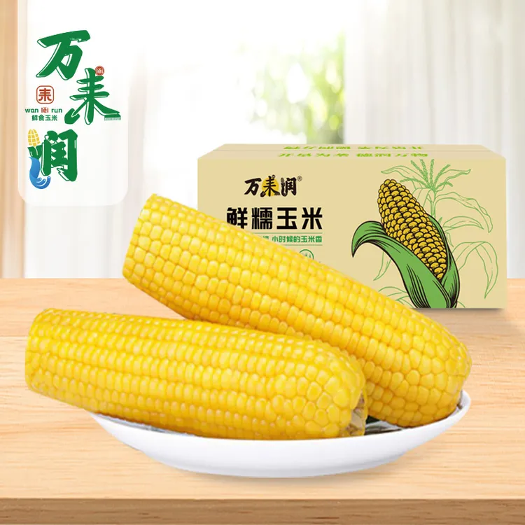【交投专属】东北黄糯玉米非转基因真空包装