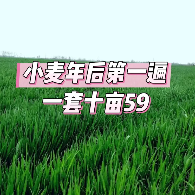 【小麦年后第一遍十亩】一套十亩小麦营养增产水溶肥