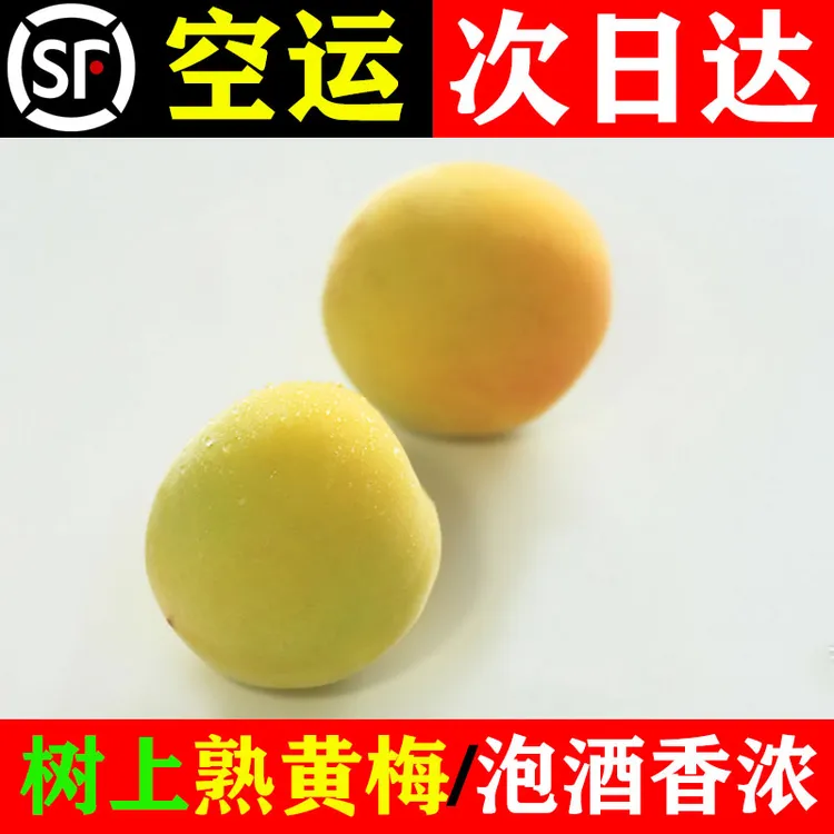 【顺丰冷链】现摘云南高山野生熟黄梅泡酒酵素青梅鲜果梅酱应季水果