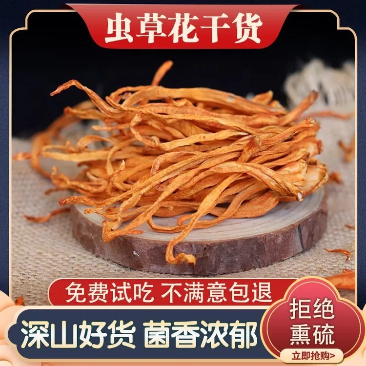 【深山好货】精选新鲜虫草花北虫草金虫草干货煲汤炖汤炒菜
