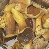 万源黄钟野生牛肝菌顺丰包邮
