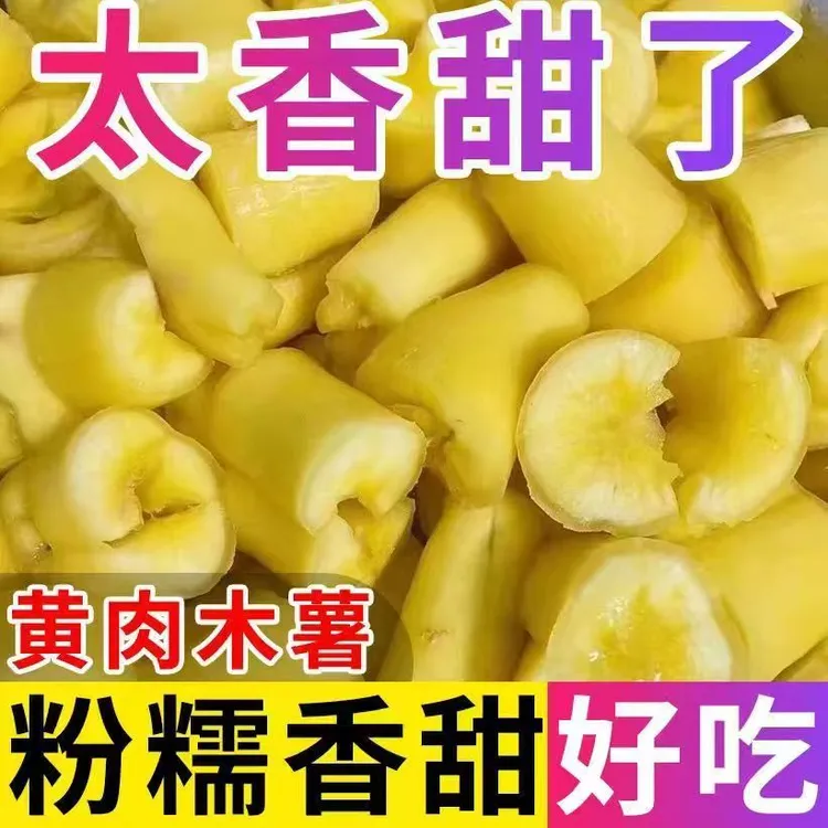 广西特产黄心面包木薯新鲜现挖黄肉木薯香甜粉面糖水店黄心木薯