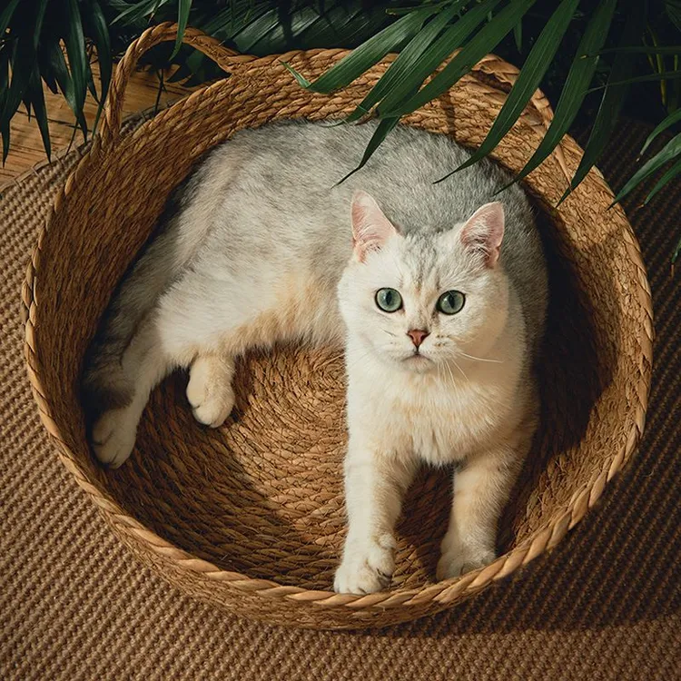 猫窝夏季四季通用藤编可拆洗草编宠物床夏天凉窝床边猫咪睡觉窝HR