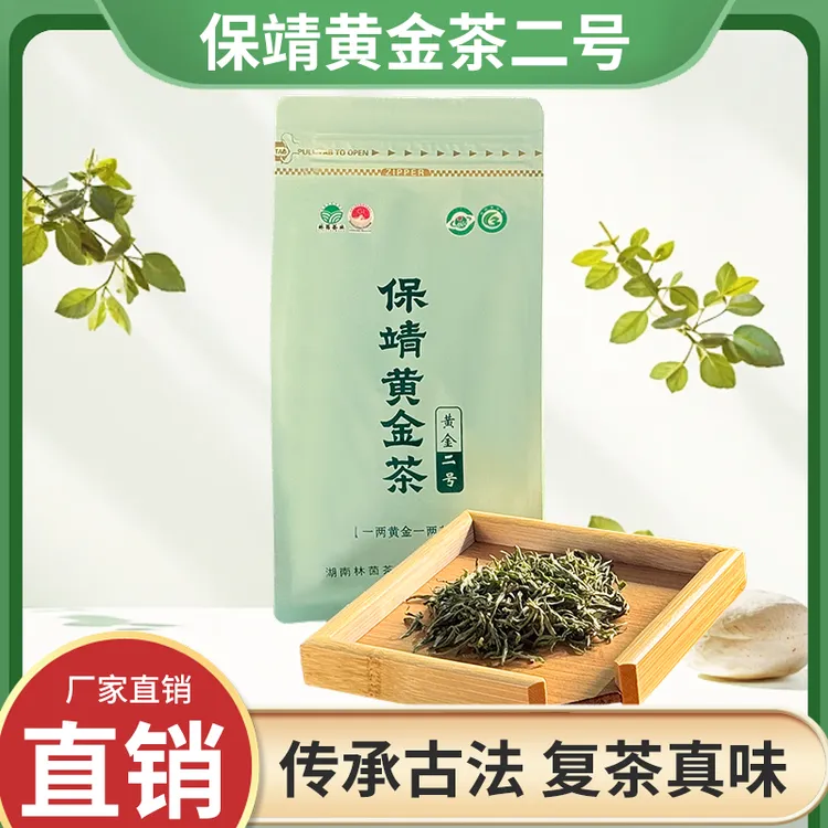 保靖黄金茶2025年【头春头采】绿茶茶叶产区茶叶保靖二号高端