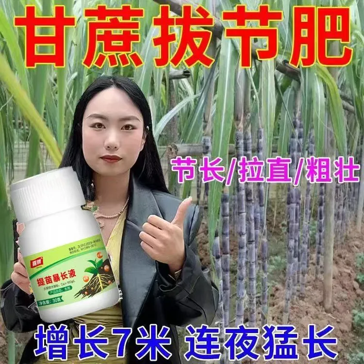 甘蔗拔节剂【一瓶一亩】甘蔗拉长拉直防裂增甜增产促分蘖生根水溶肥