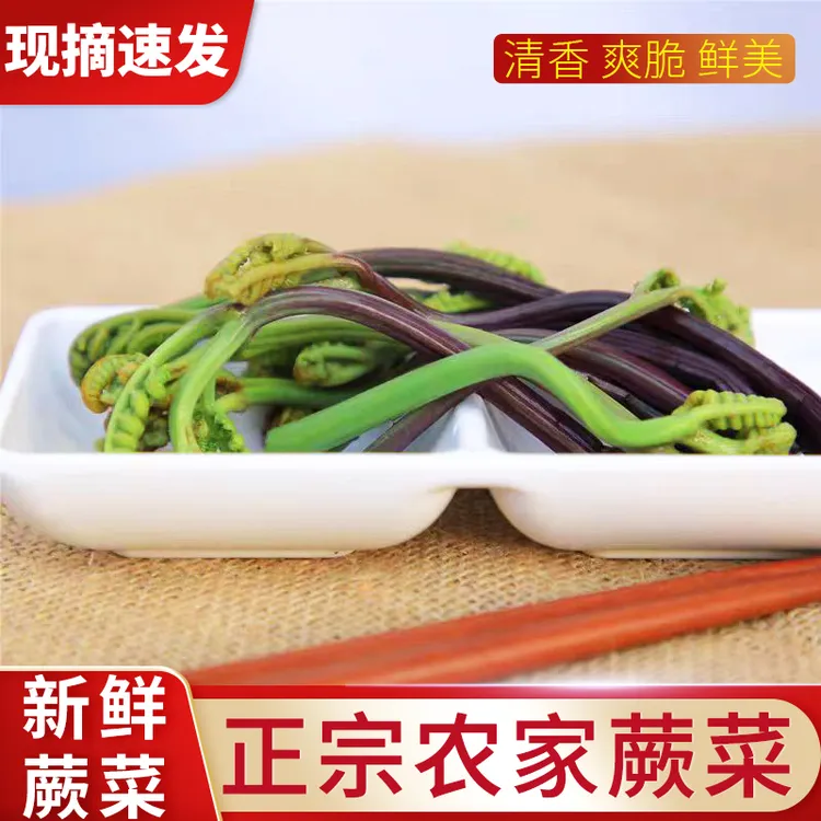 蕨菜新鲜脆嫩蕨菜蕨苔新鲜农家现摘蕨菜嫩包邮