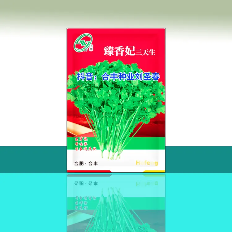 臻香妃香菜种子四季种植耐热耐寒香味浓口感佳抗病强适宜小菜园种
