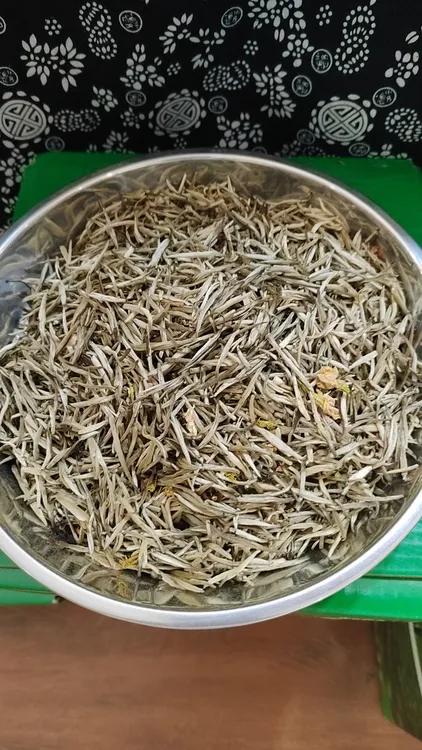 王中王茉莉银针新茶茉莉鲜花十窨柔甜香头春头采茶叶